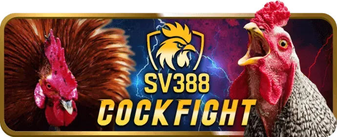 Dịch vụ chăm sóc khách hàng km888 win